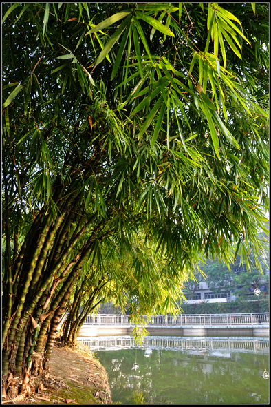 [深職掠影]   我的校園 